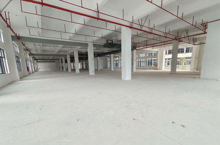 镇隆永湖靠山全新原房东独院50000平厂房低价出租 接受包租