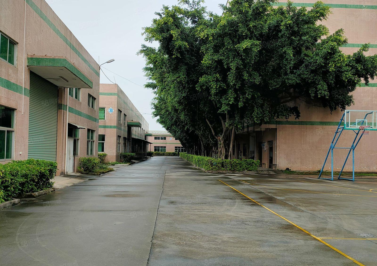 单一层钢结构厂房出租（17000平米，可分租）