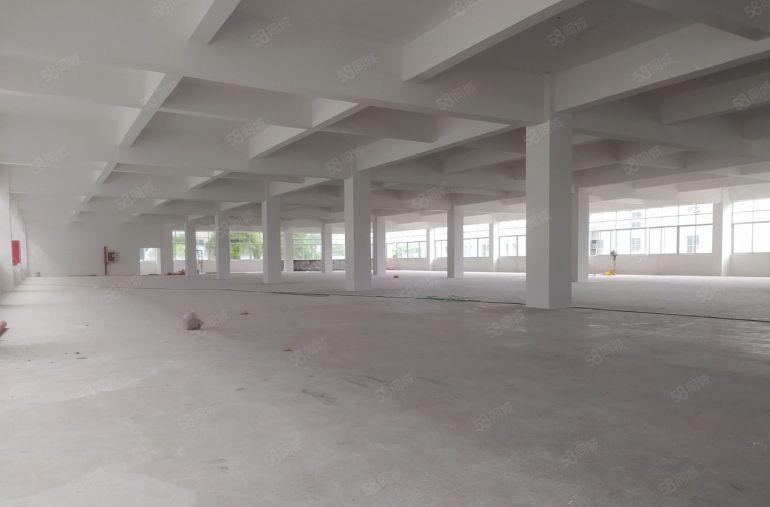 惠州惠阳新圩长布独栋厂房低价出租10000平大小分租交通便利