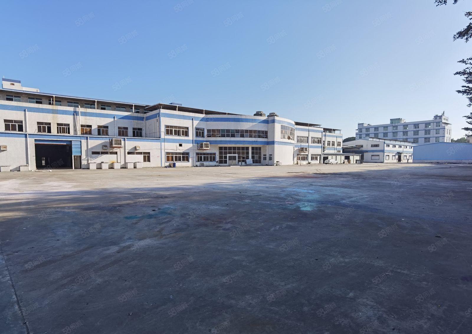 惠州市新圩镇长布村200平起分独院带钢构标准厂房原房东出租