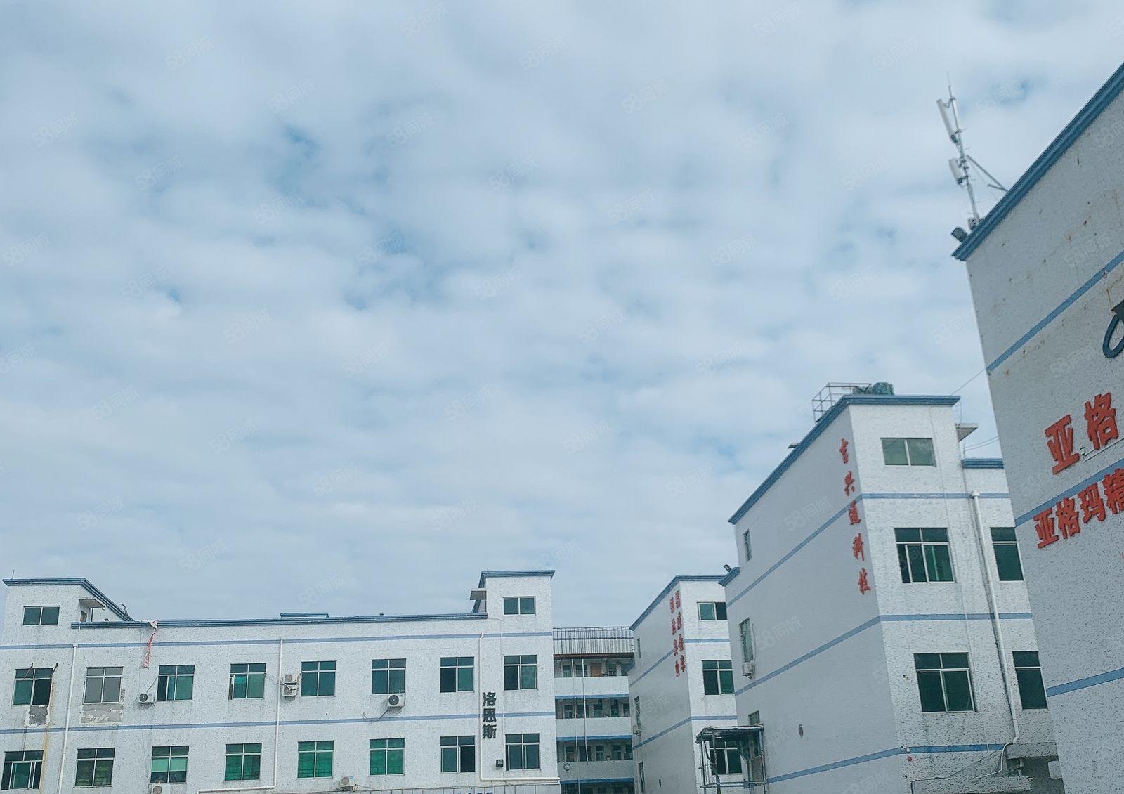 惠阳新圩2000一楼高6米精装修1000仓库厂房出租可分租