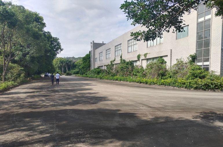 独门独院惠阳淡水花园式厂房带红本不限行业