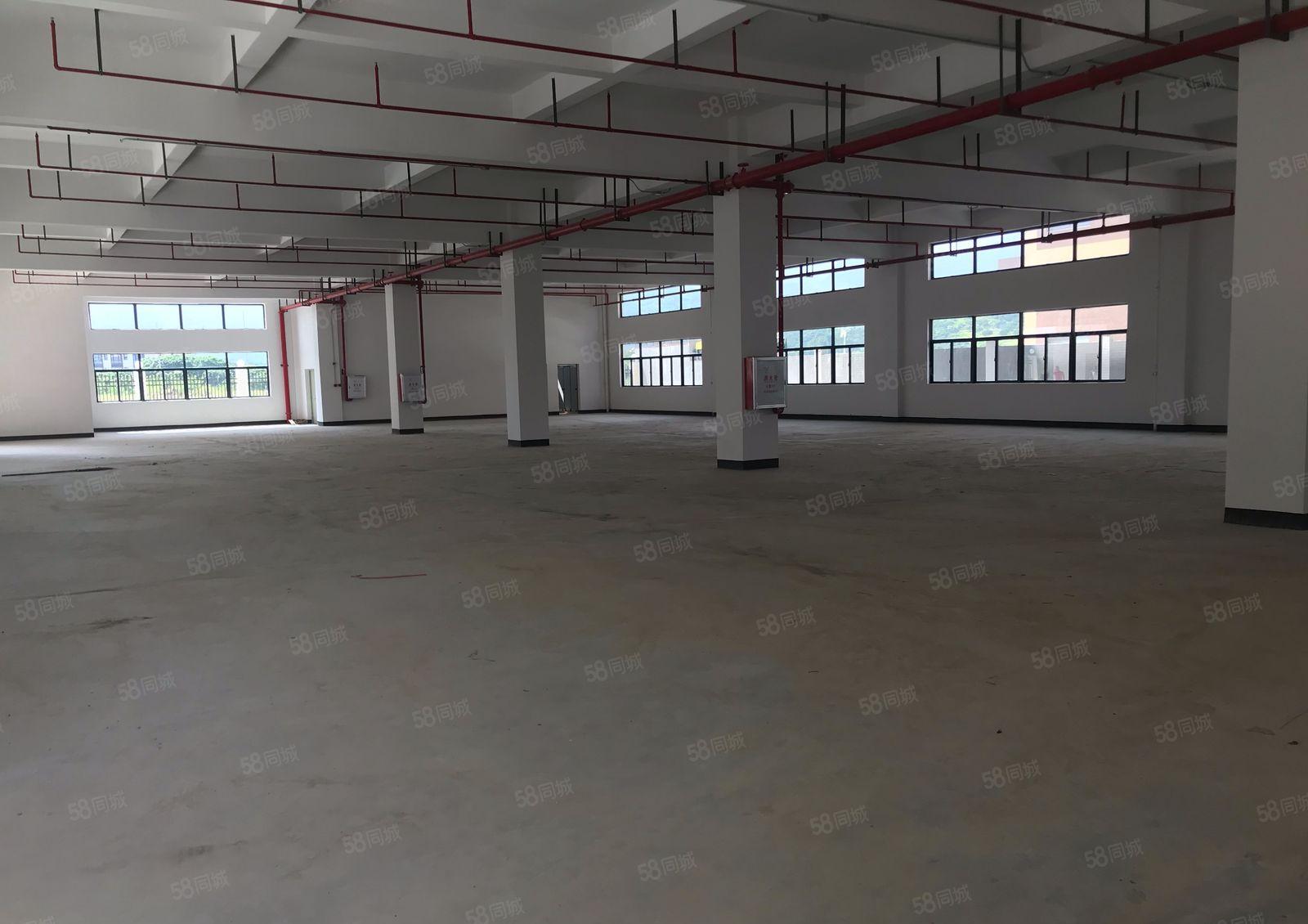镇隆高速口全新厂房独栋8000平出租1000平起租