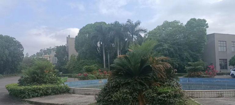 独门独院惠阳淡水花园式厂房带红本不限行业