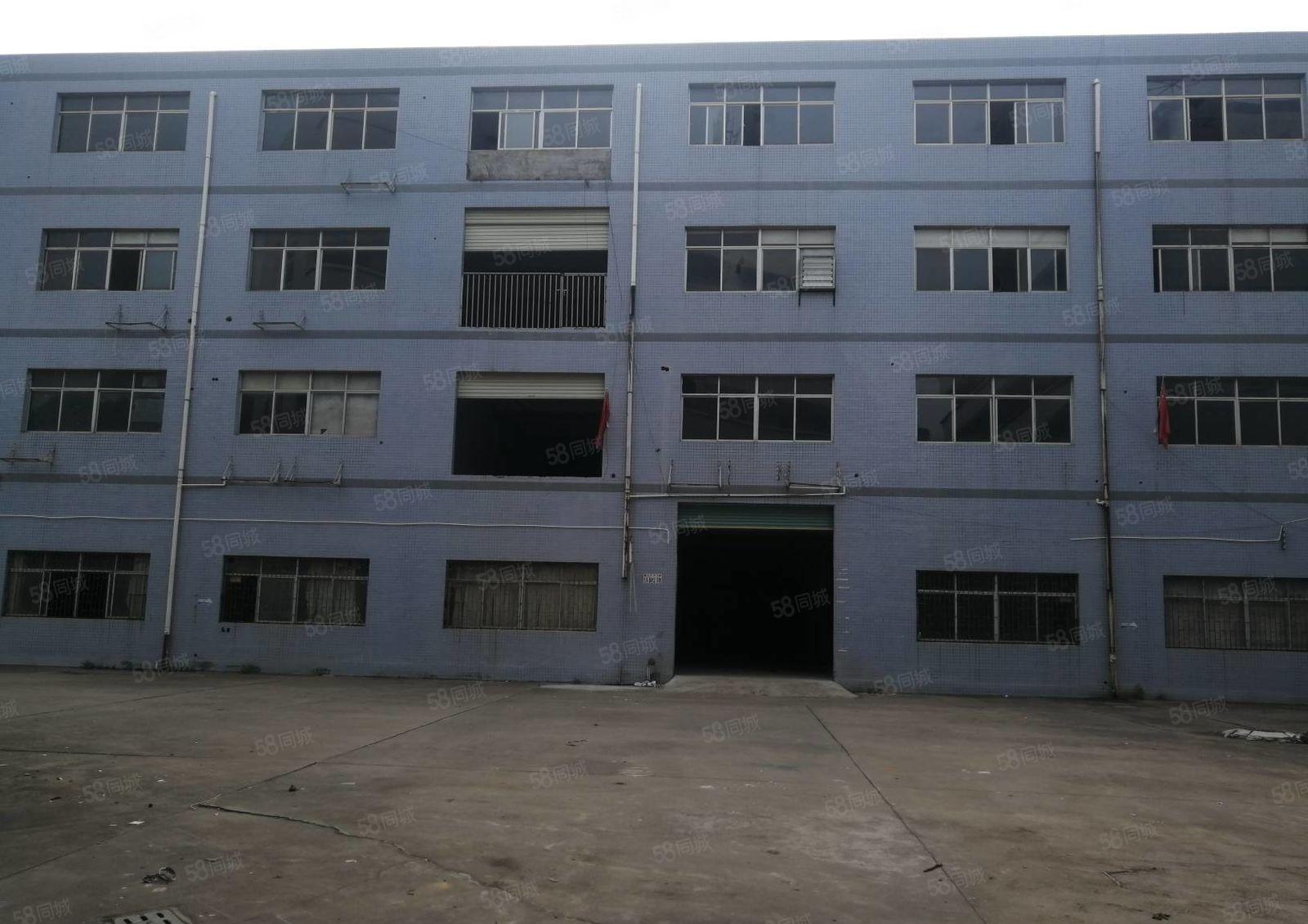 15元起租惠阳新圩10000平高速路口原房东标准独院厂房出租