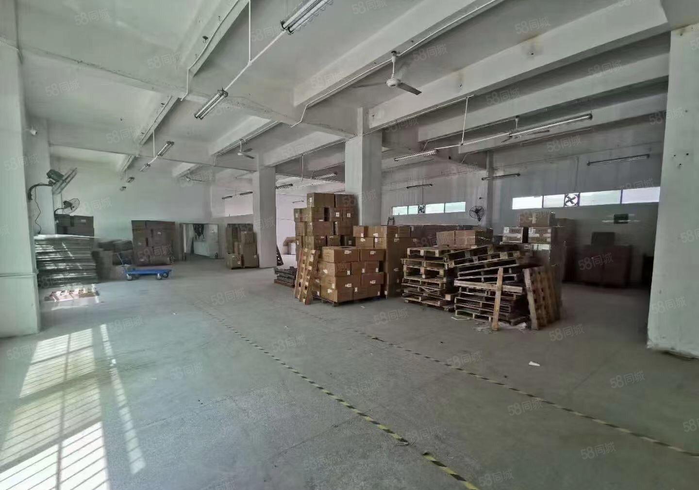 新圩塘吓一楼小面积厂房300平600平出租