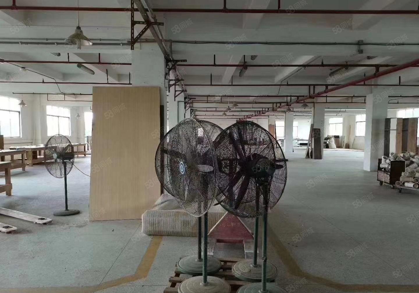 独院 惠阳秋长白石原房标准6500平米出租可分租价格便宜