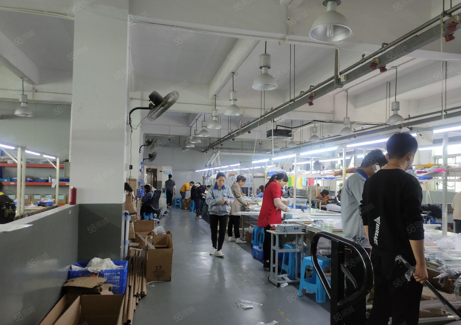 10元起镇隆8000平方原房东厂房出租仓库出租大小面积起分租