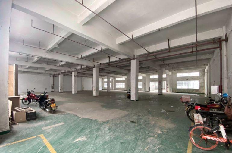 12元平新圩镇800平原房东一楼厂房成熟园区配套齐全