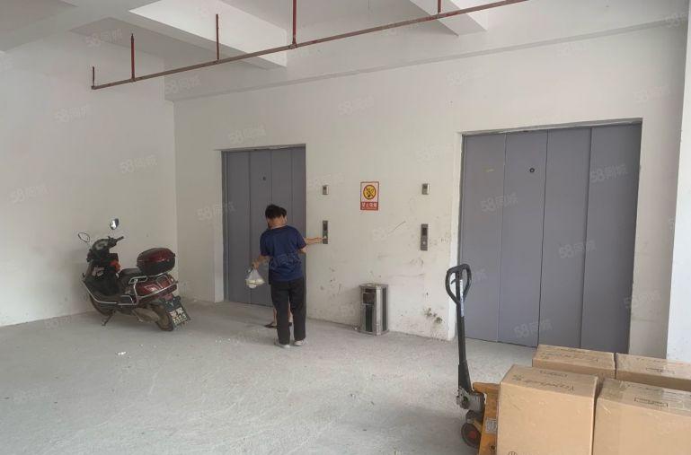 惠州新圩全新厂房带红本1楼2楼各2000平实际面积可整租分租