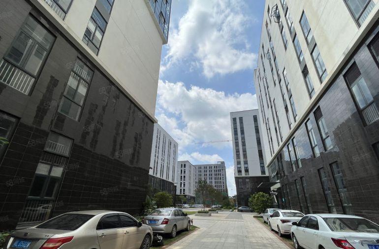 临深一手装修出租 配套已启动 拎设备即可开干  可放心投产