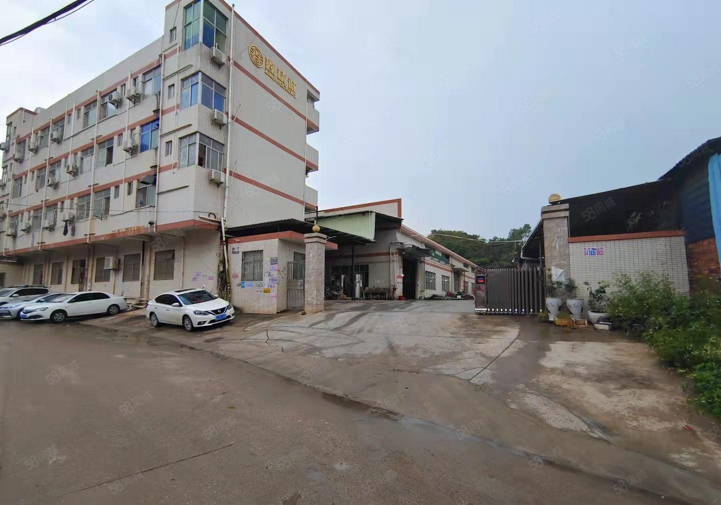 惠阳新圩塘吓独院砖墙到顶钢构厂房3500平出租500平起分。