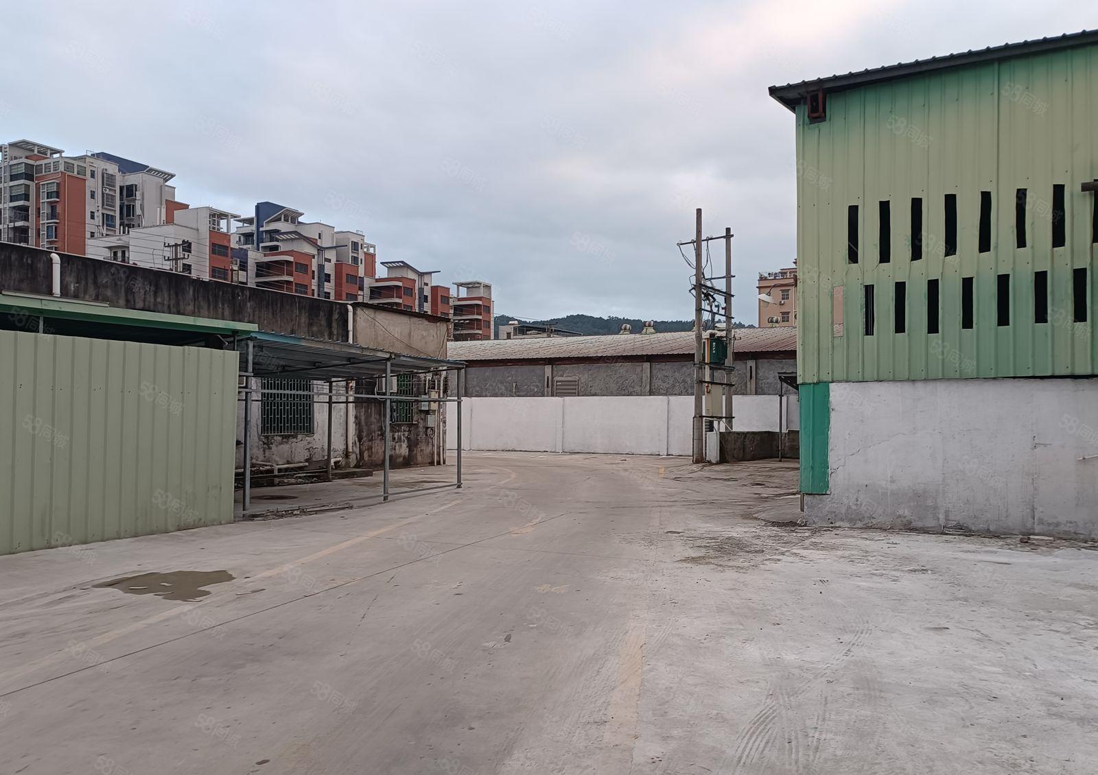 惠阳镇隆楼下村新出红本钢构1900平方