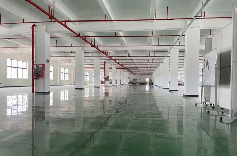 9块！镇隆原房东2000平厂房仓库低价出租 零公摊  可分租