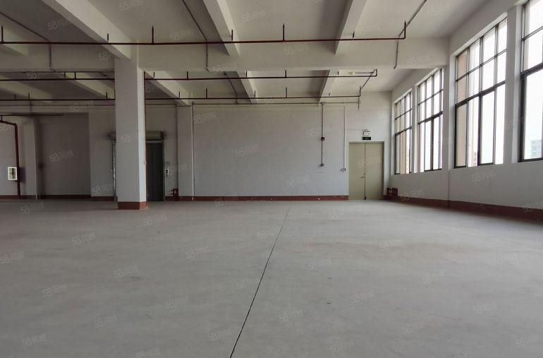 独院红本厂房出租 原房东 4800平方 可分租 带1千平空地