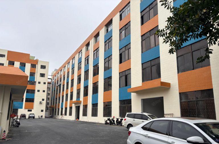 1000平分租，淡水白云坑全新花园式红本精装修厂房低价出租