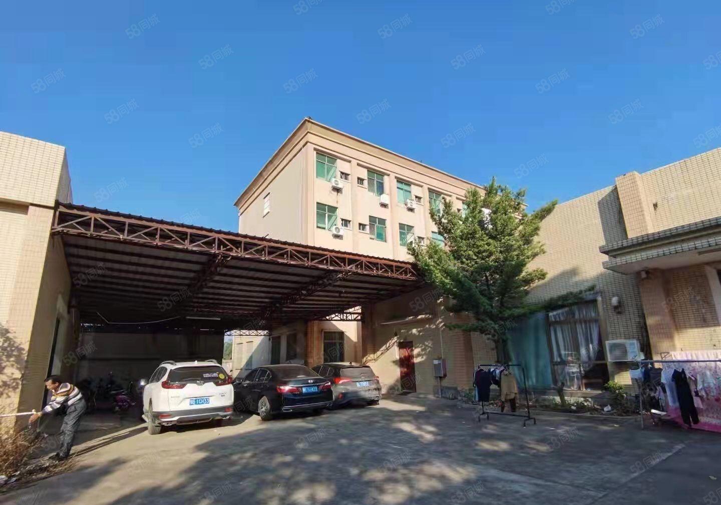 惠阳沙田田头独院单一层4700平方带红本