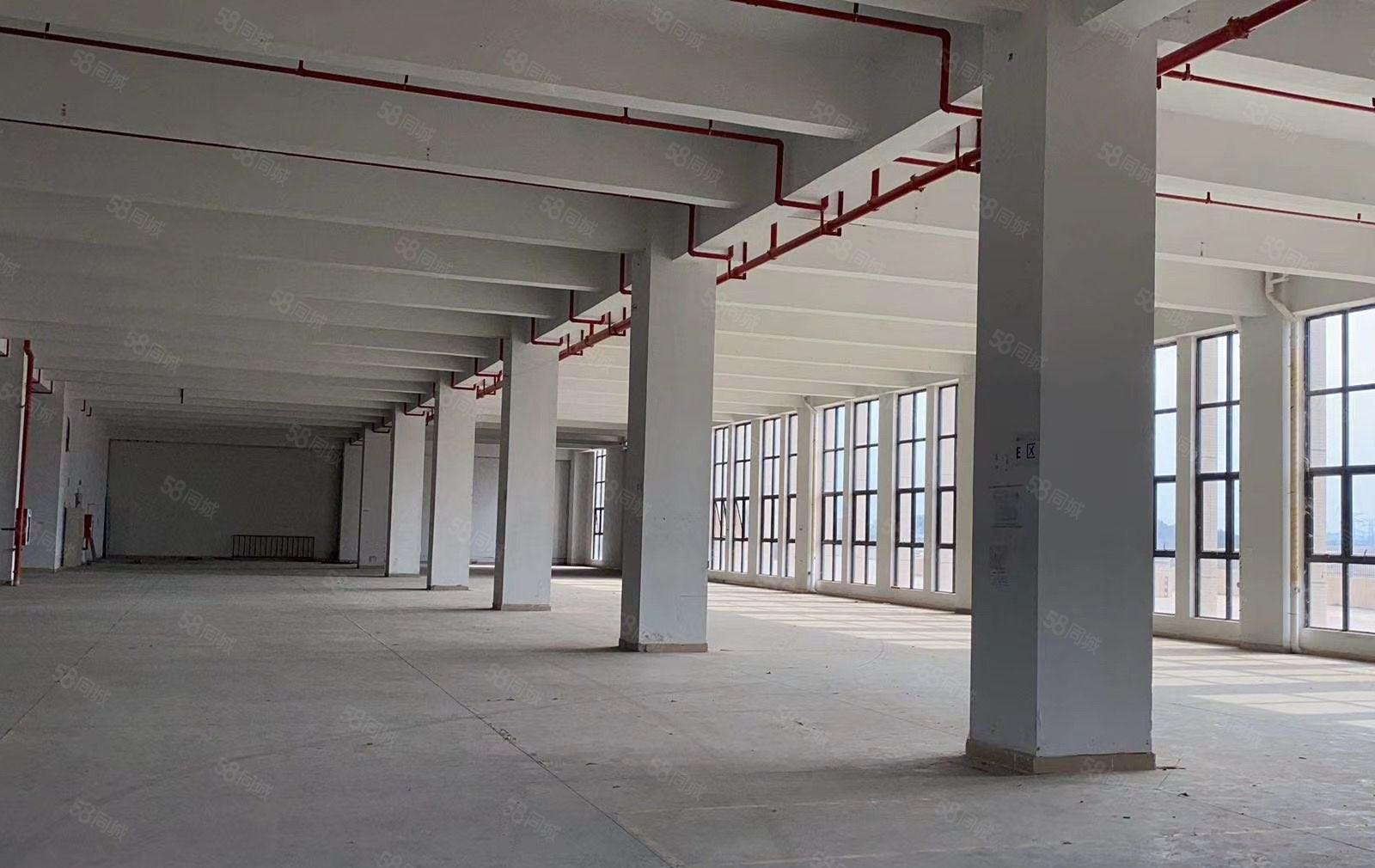 (原房东)秋长镇茶园玻璃幕墙科技园每层2100平可分租