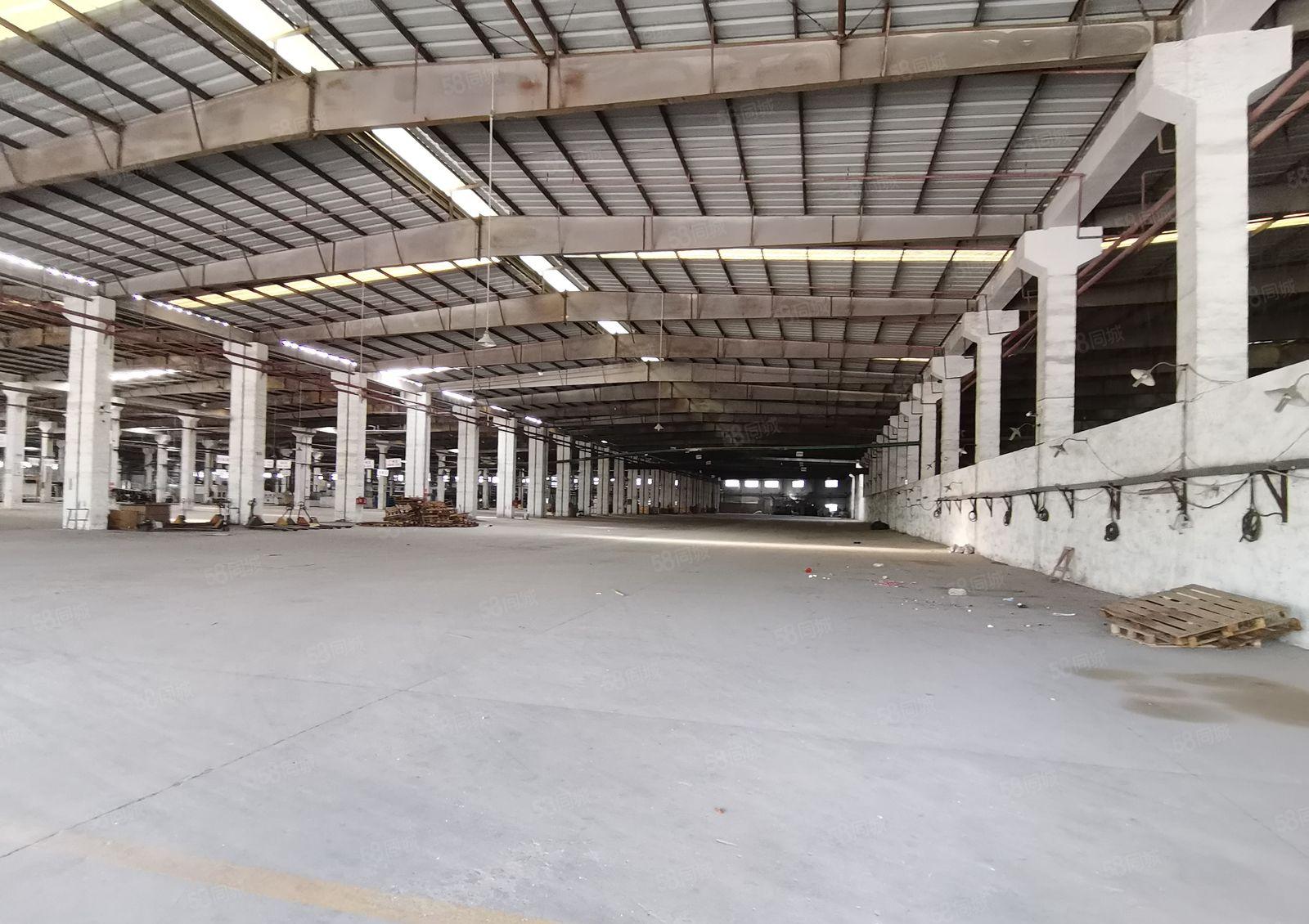 5百平起分租新墟荣健工业园独栋8千平标准红本钢构仓库厂房出租