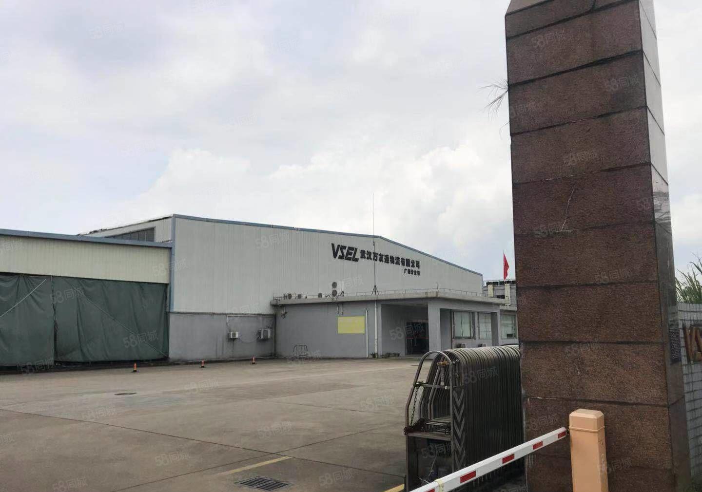 惠州市惠阳区沙田镇工业园区独院钢结构厂房3600平方米 8米