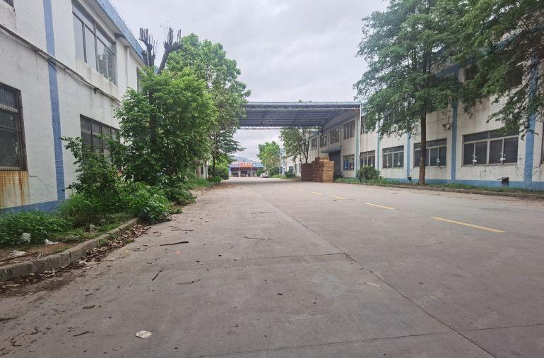 带红本  钢构厂房13000平方一栋总面积5万平大小面积分租