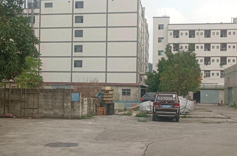 惠阳新圩长布205国道边原房东钢结构厂房1000平方米招租