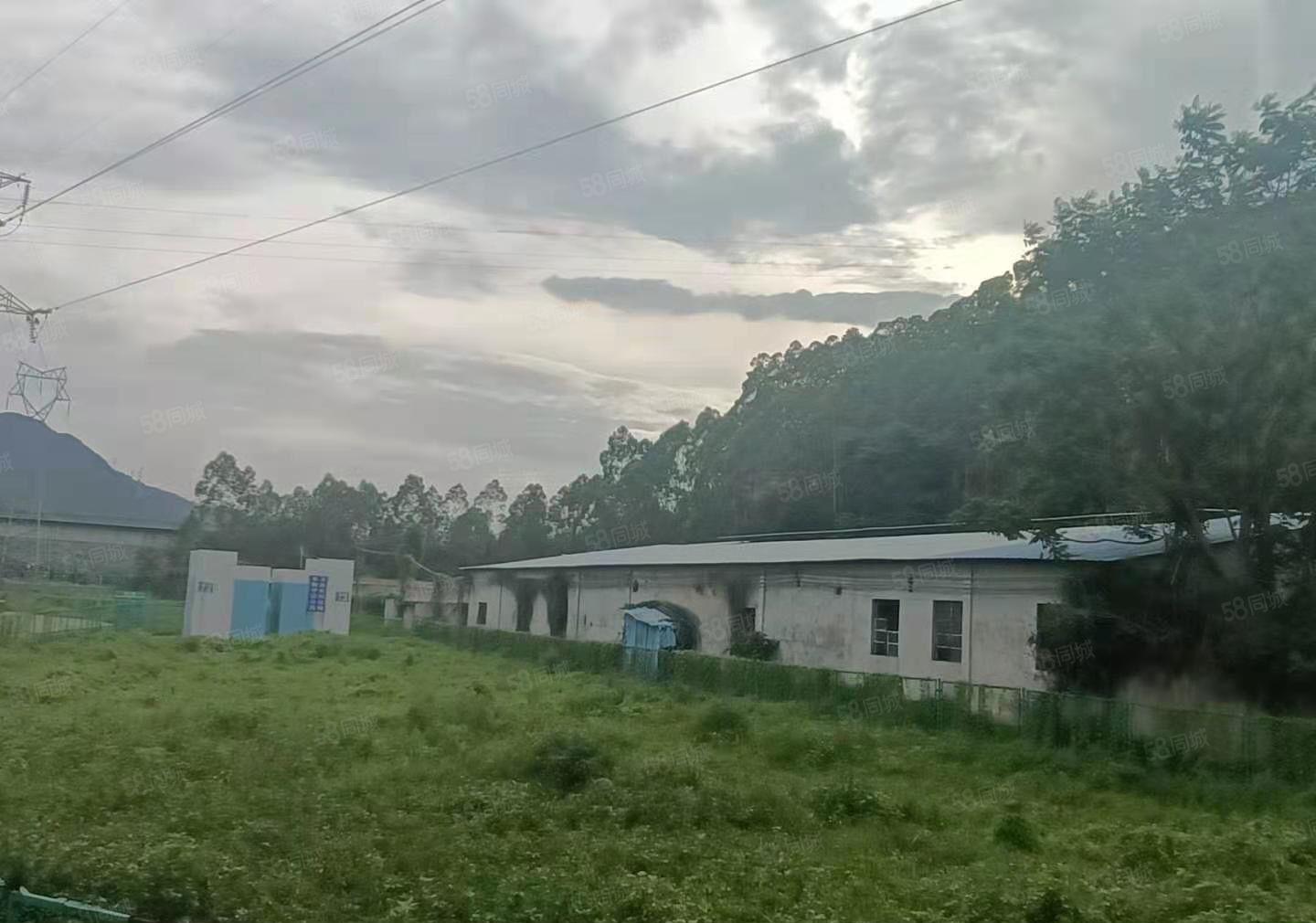 空地5000平免费用惠阳独门独院不限行业钢构厂房2000