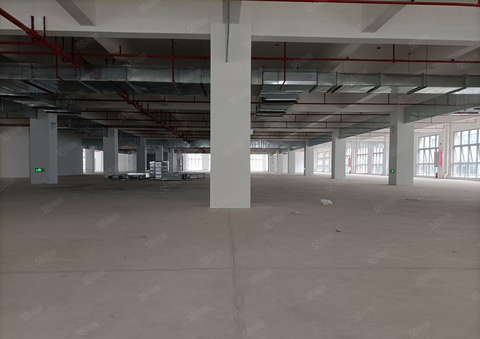 50万平大亚湾惠阳临深区域超大产业园全新厂房10元招租