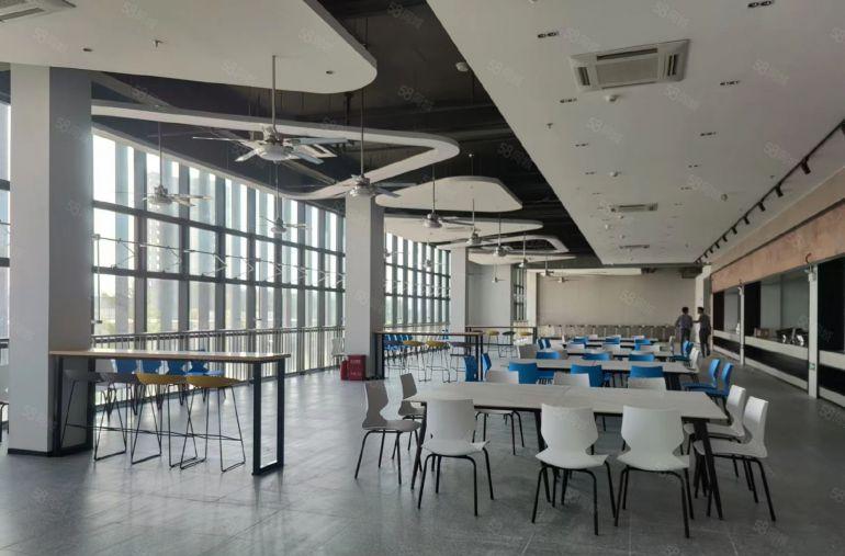 临深全新高标厂房，租售一体。