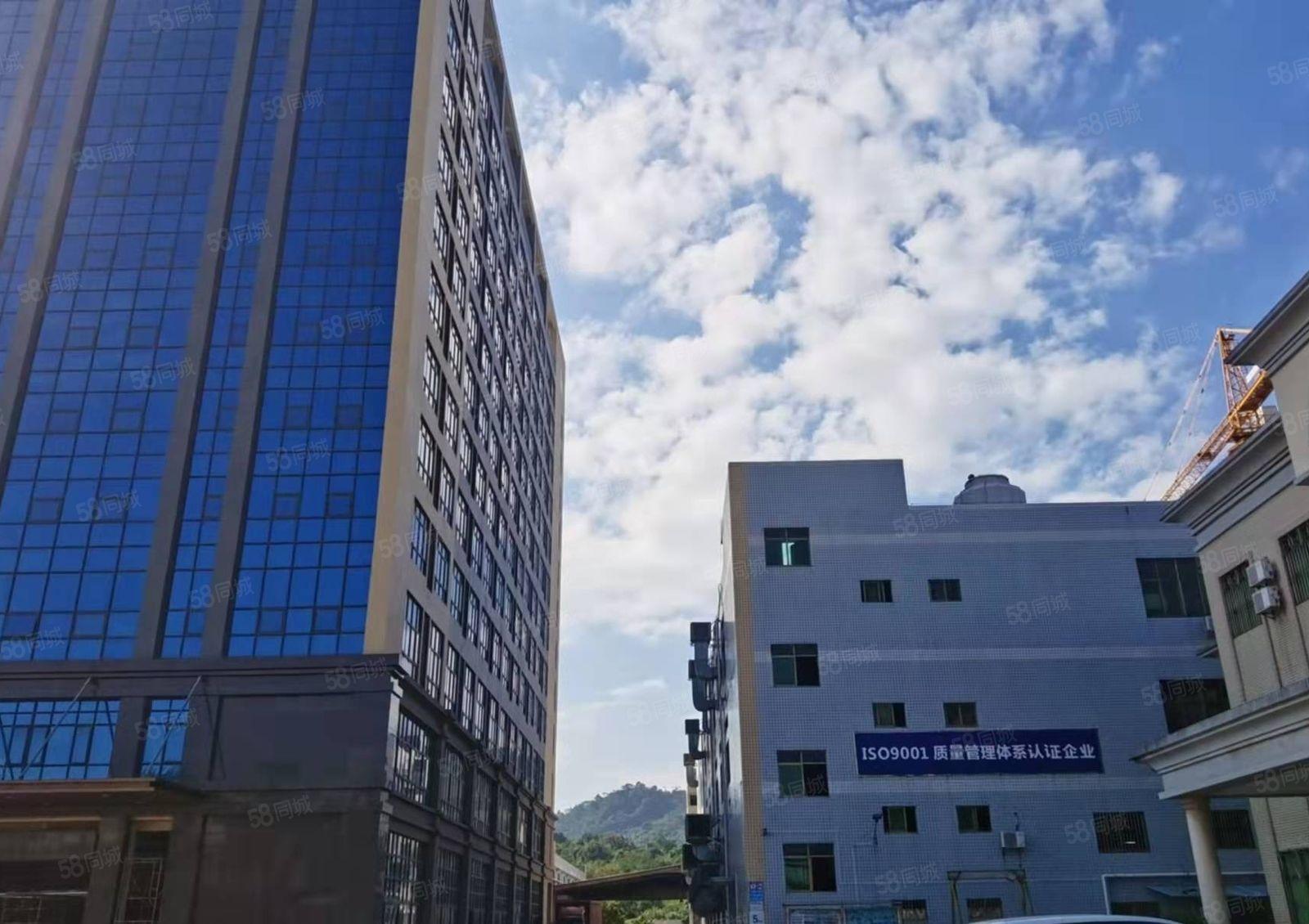 新圩原房东全新厂房20000平实际面积出租三面采光楼层任选