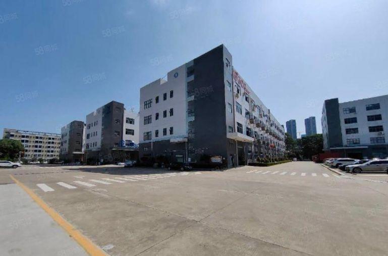 沙田原房东厂房仓库低价11块出租带卸货平台红本设施齐全带装修