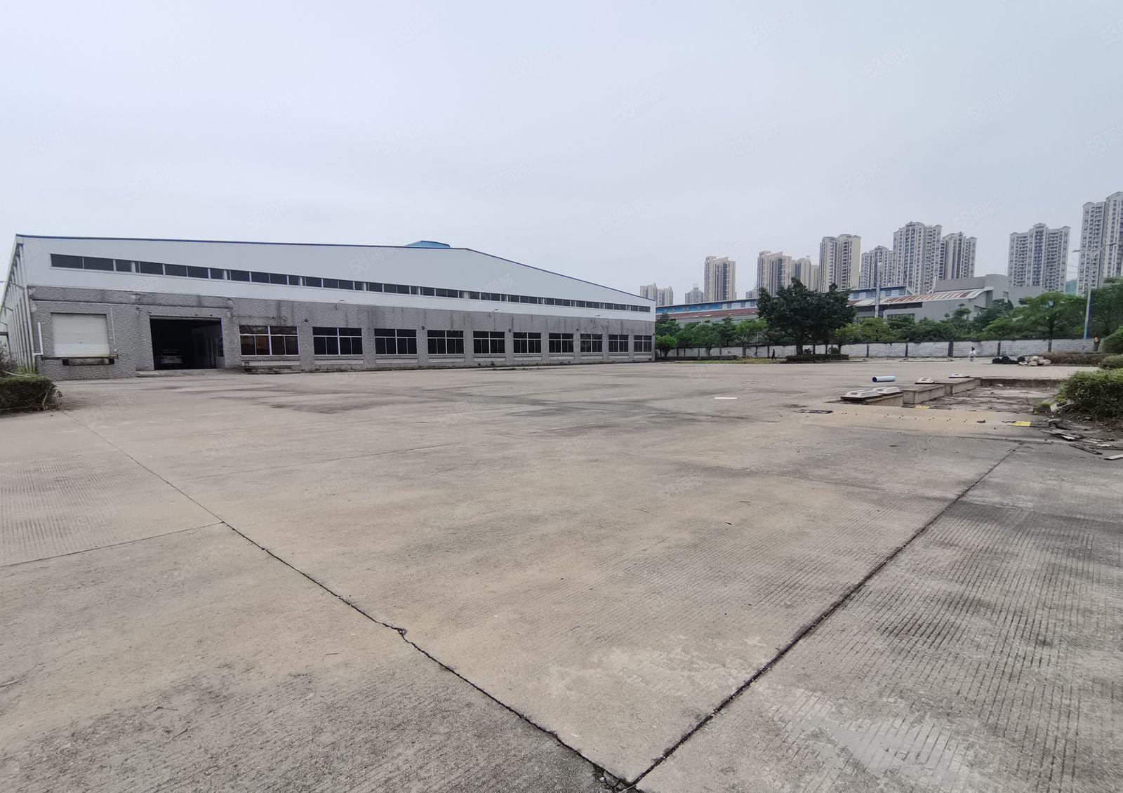 年底！赠免租期新圩5万平原房东独院钢构厂房仓库出租现成环评