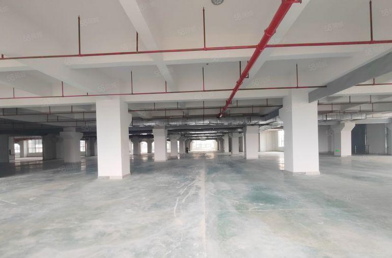 9块！新墟塘吓工业区3000平厂房仓库出租一楼带装修可分租