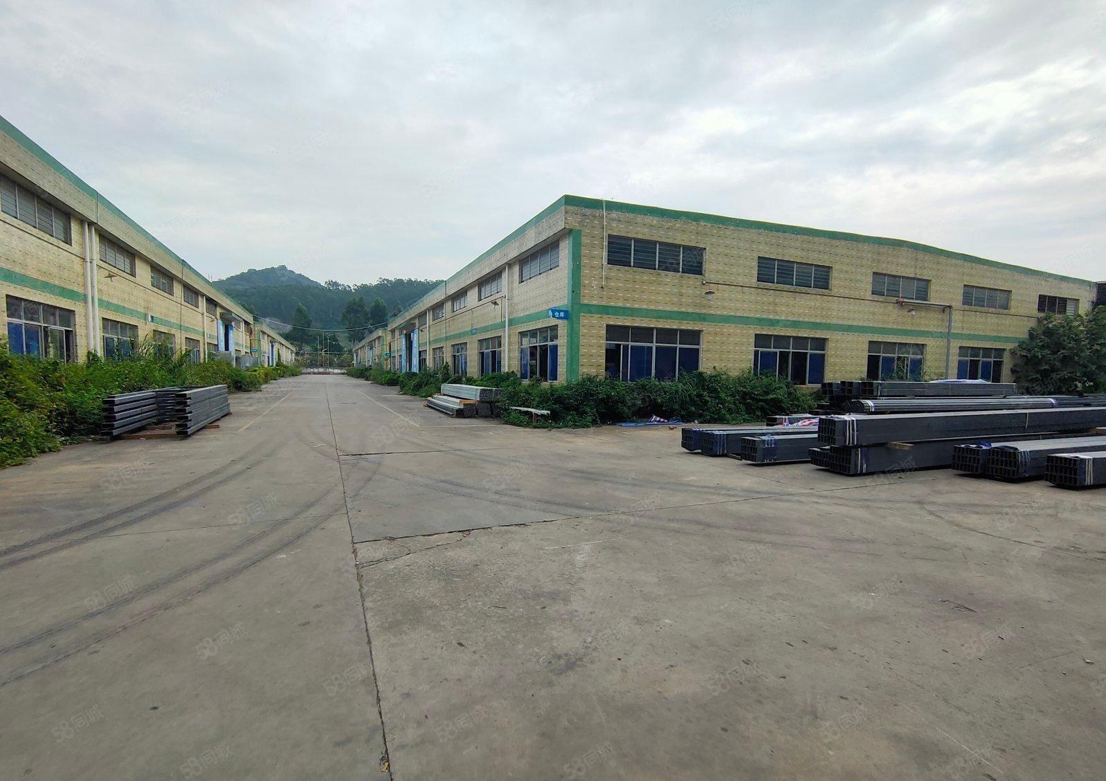 镇隆单一层钢结构9米高红本厂房12000平米出租（可分租）