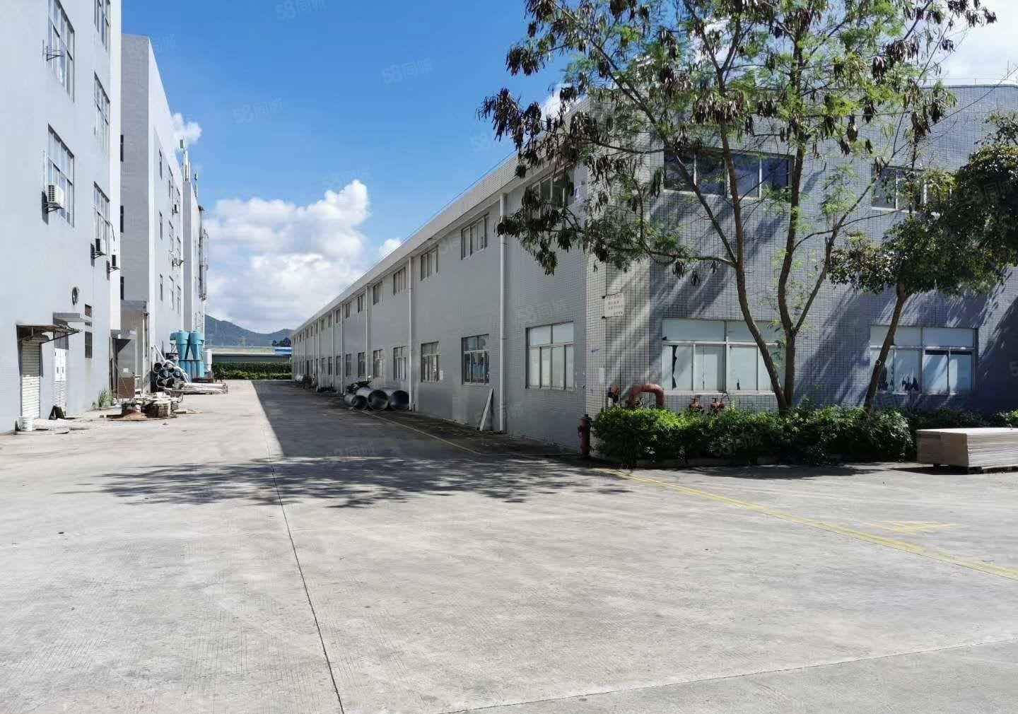 带消防独门独院厂房招租了喂！！现成水电装修带环评