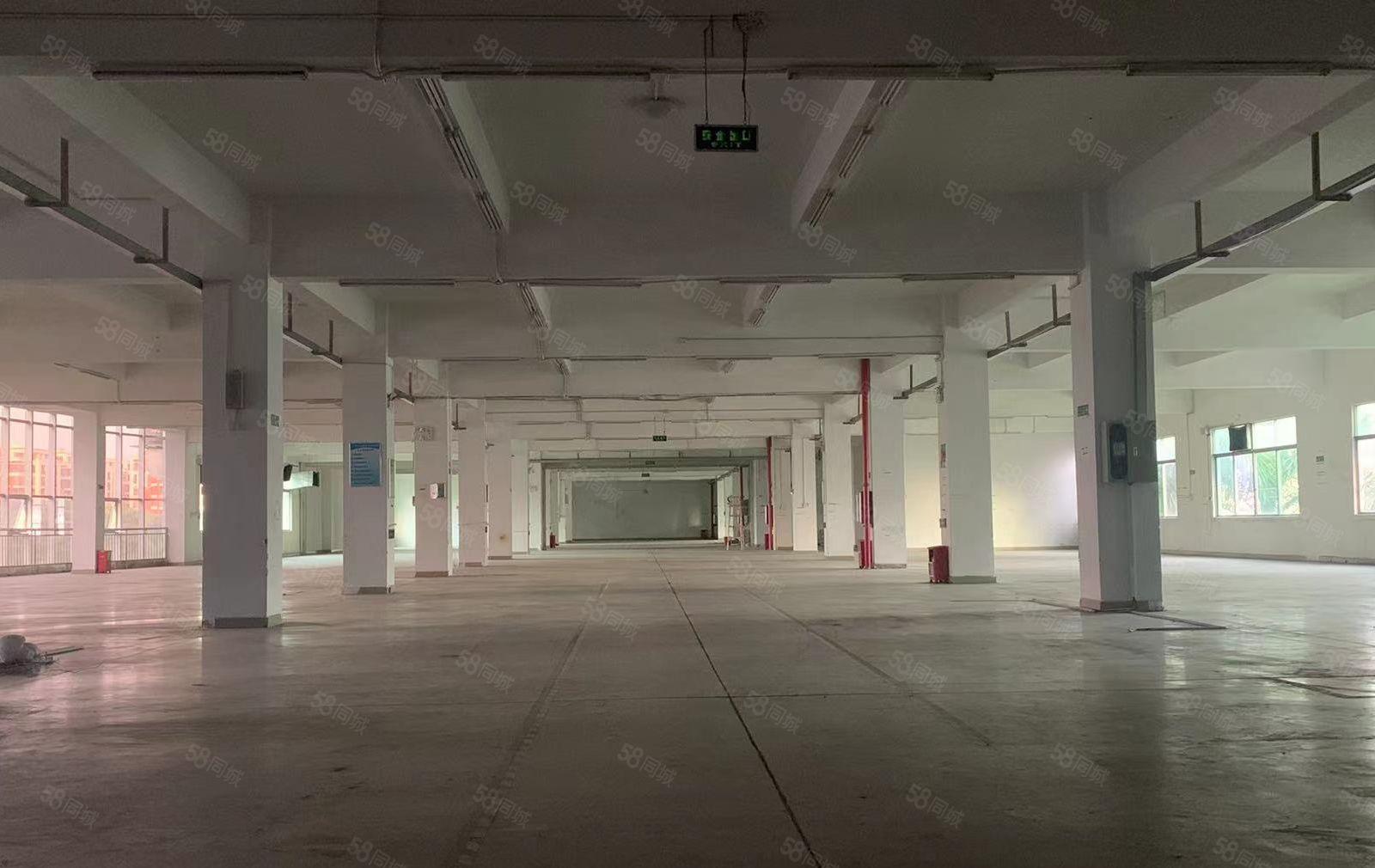 惠阳秋长茶园独门独院标准厂房20000平出租带精装修可分租。