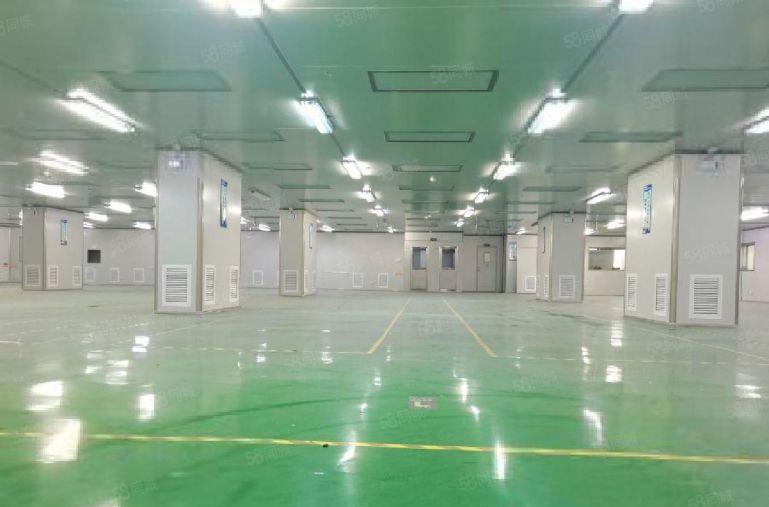 惠阳低价无尘车间厂房出租 无转让费 精装修10元 可分租