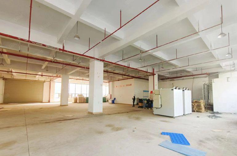 独栋厂房22500平可以单层分租原房东无公摊空地超大