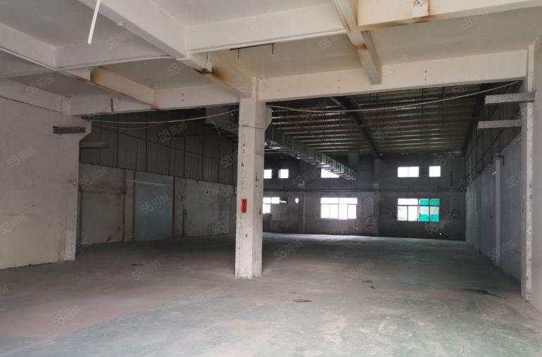 16元起租！新圩长布1600平一层钢构厂房可分租