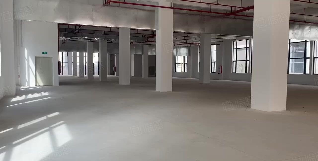 石湾科技园全新装修厂房，红本双证，1000平分租，可办环评