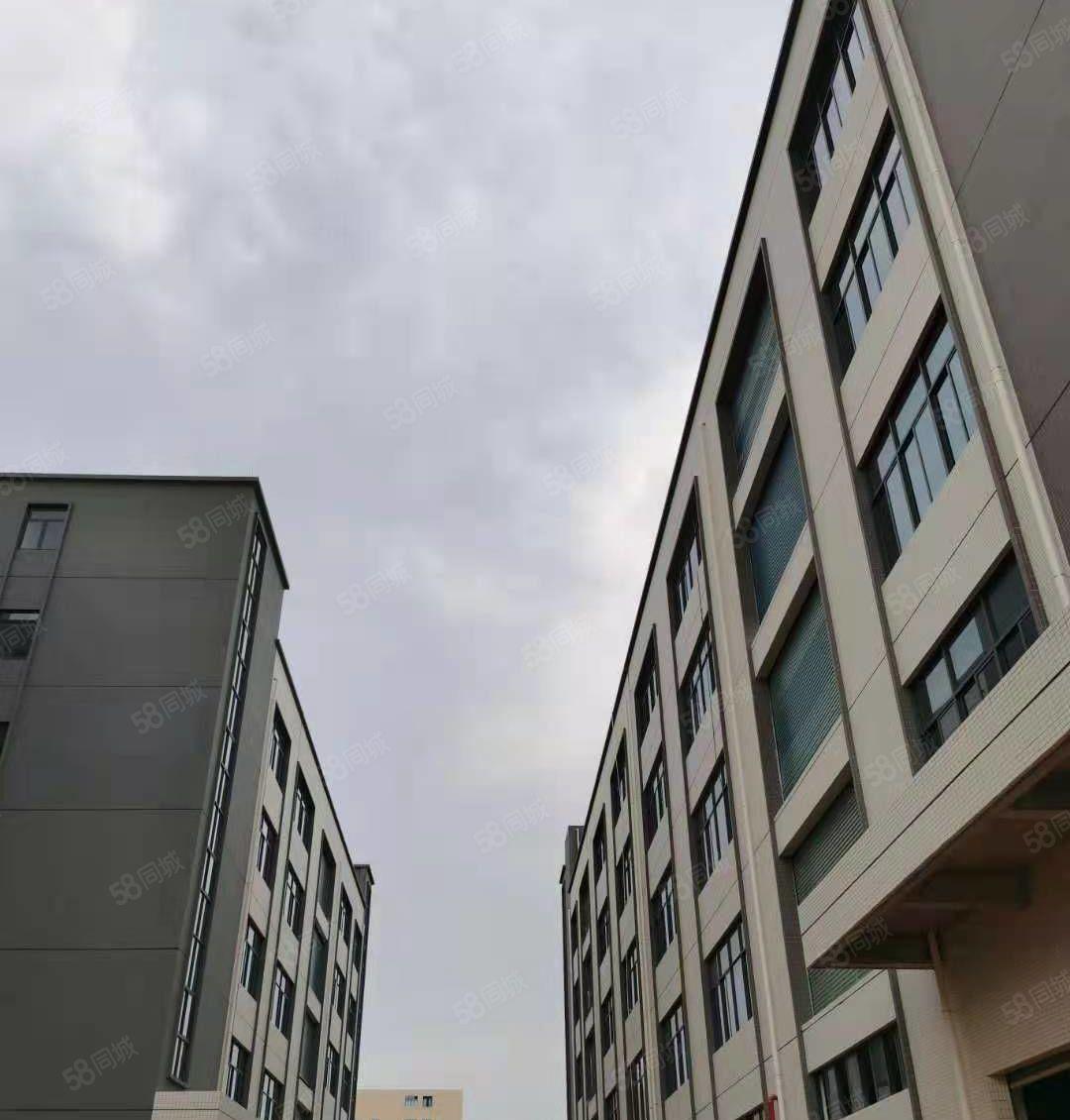 惠州惠阳区平潭镇全新原房东独门独院标准厂房火热招商国有红本