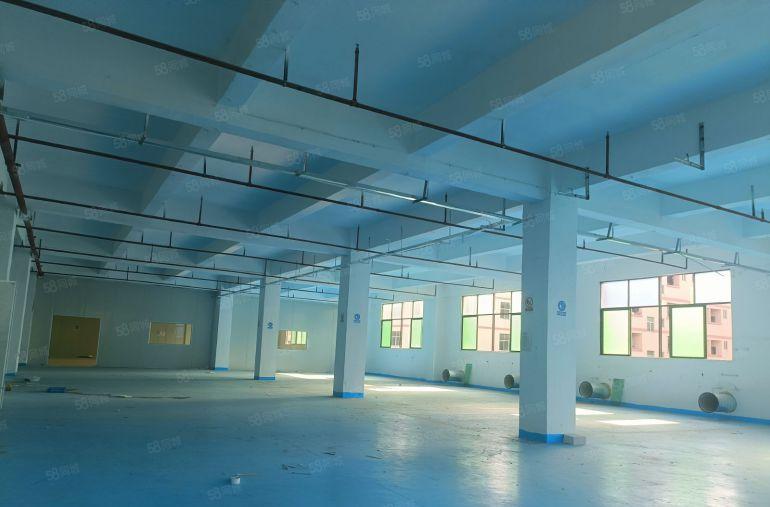 惠阳原房东独院厂房出租