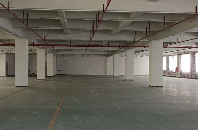 惠阳镇隆万里工业区原房东红本独院标准厂房11300平方米