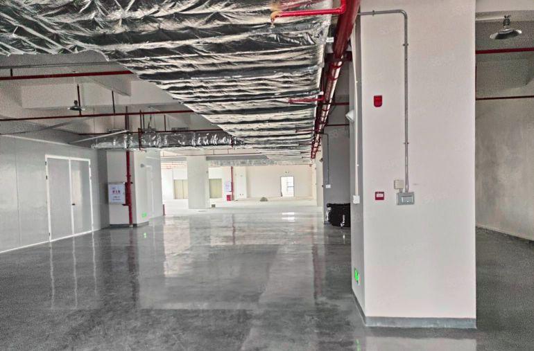 8元！沙田镇2000平现成装修办公室原房东厂房出租