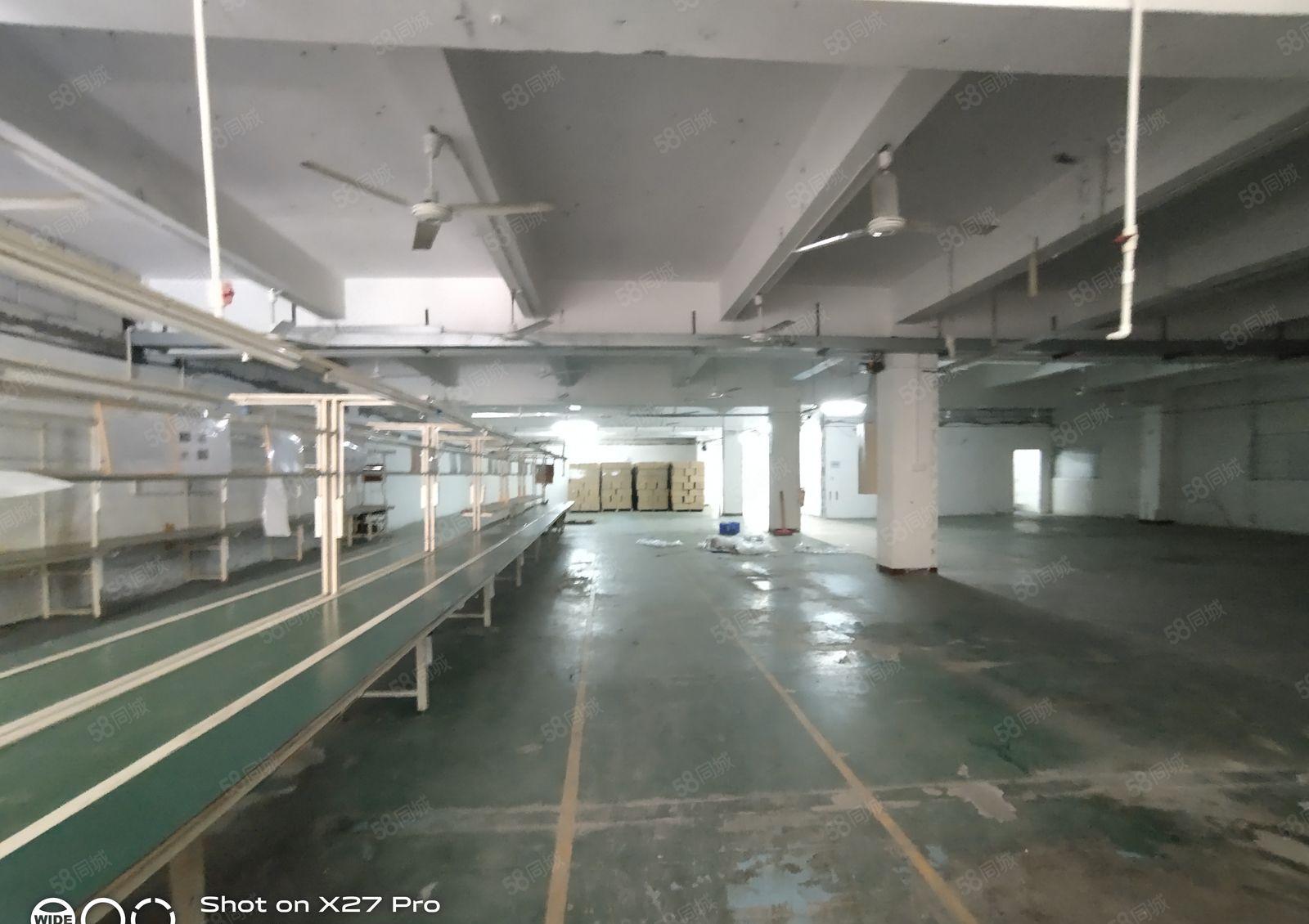 新圩红田新出标准一楼2000平方可分租，带装修，有办公室！！