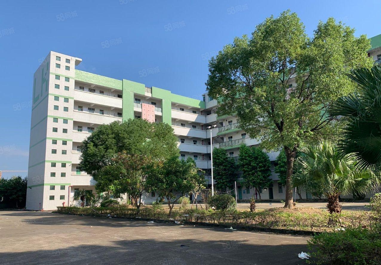 惠阳秋长新出独院红本厂房2.8万平一楼7米高秒办环评空地超大