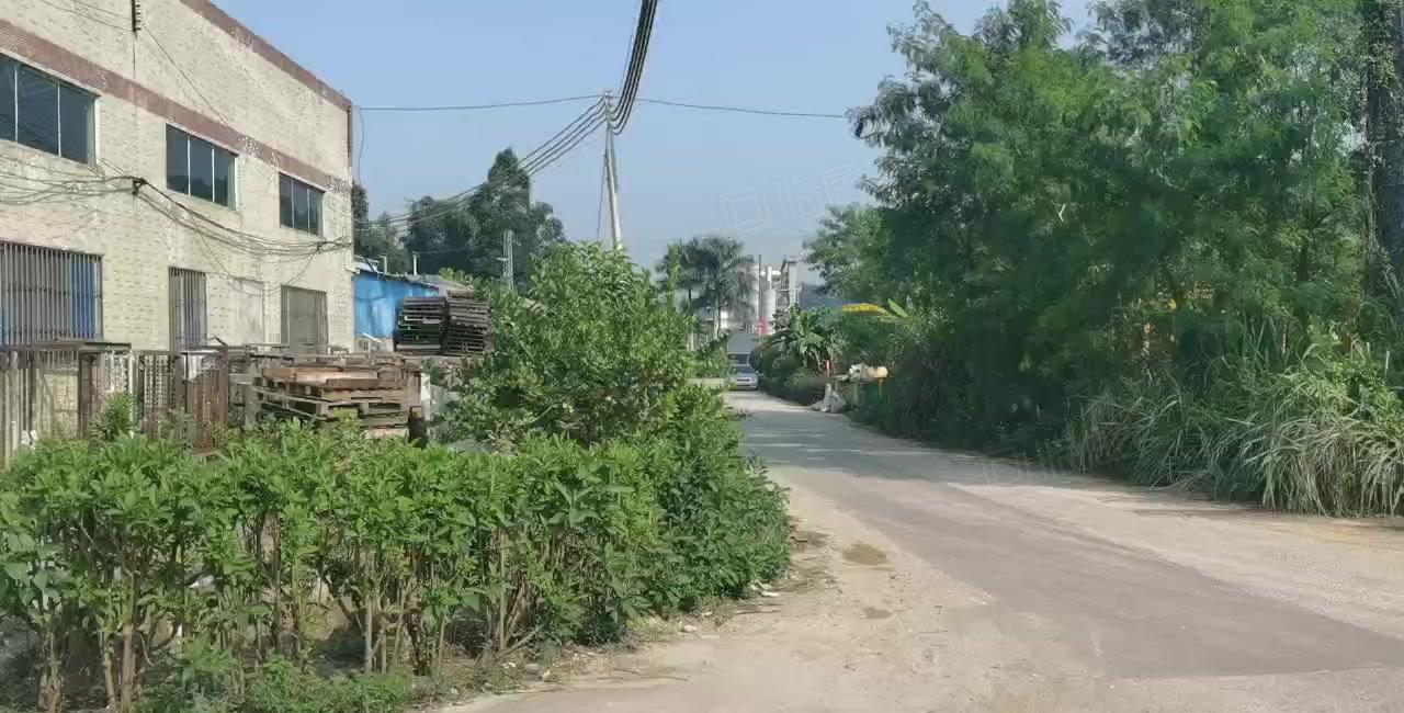 惠阳新圩8000工业区内独院钢构厂房仓库出租靠山边高速口