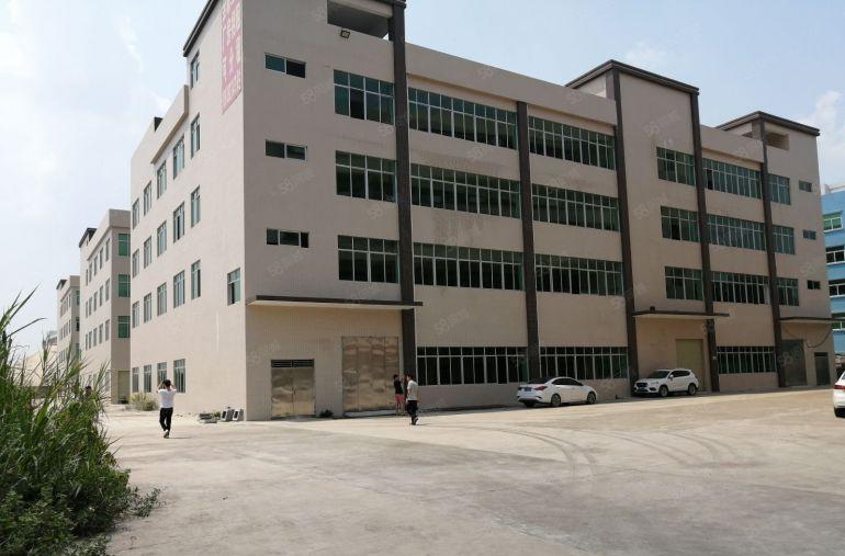 新圩新出原房东实际面积出租6500平米可以分租带消防喷淋