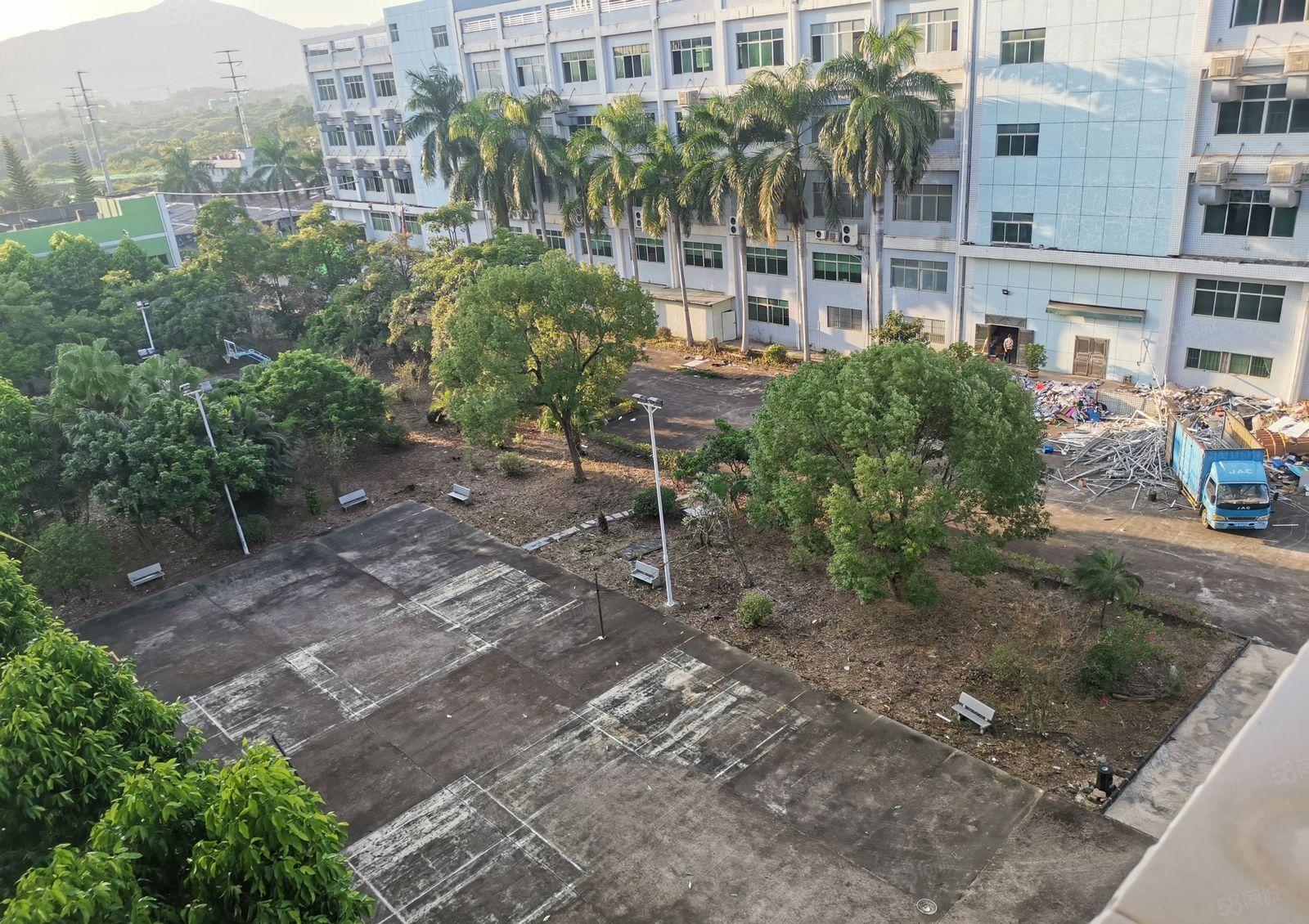 可做学校培训等上市公司形象独院厂房隆重招商