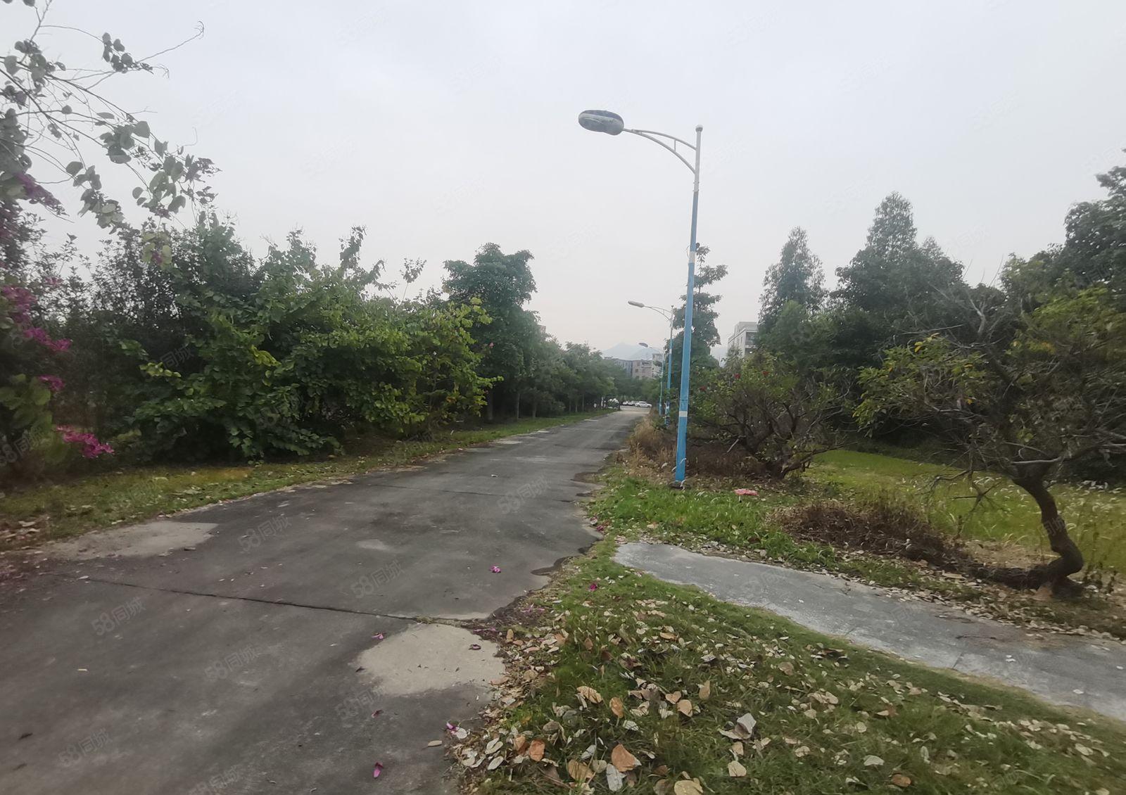 惠州仲恺高新区森林工厂之称8000平米花园式厂房出租有红本